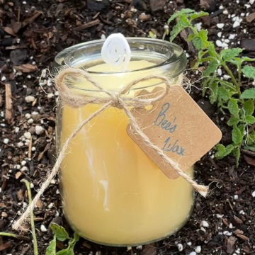 Organic Filtered White Beeswax (Unscented)